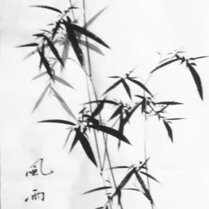 《风雨同舟》竹子