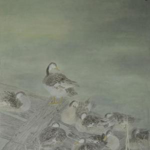春到白洋淀
