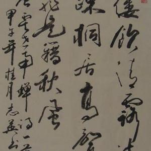 蝉