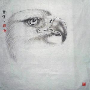 《鹰》系列