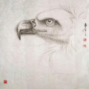 《鹰》系列