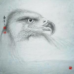《鹰》系列