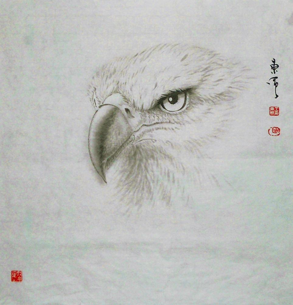 《鹰》系列