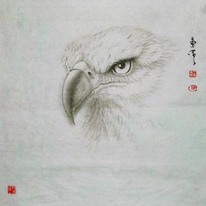 《鹰》系列