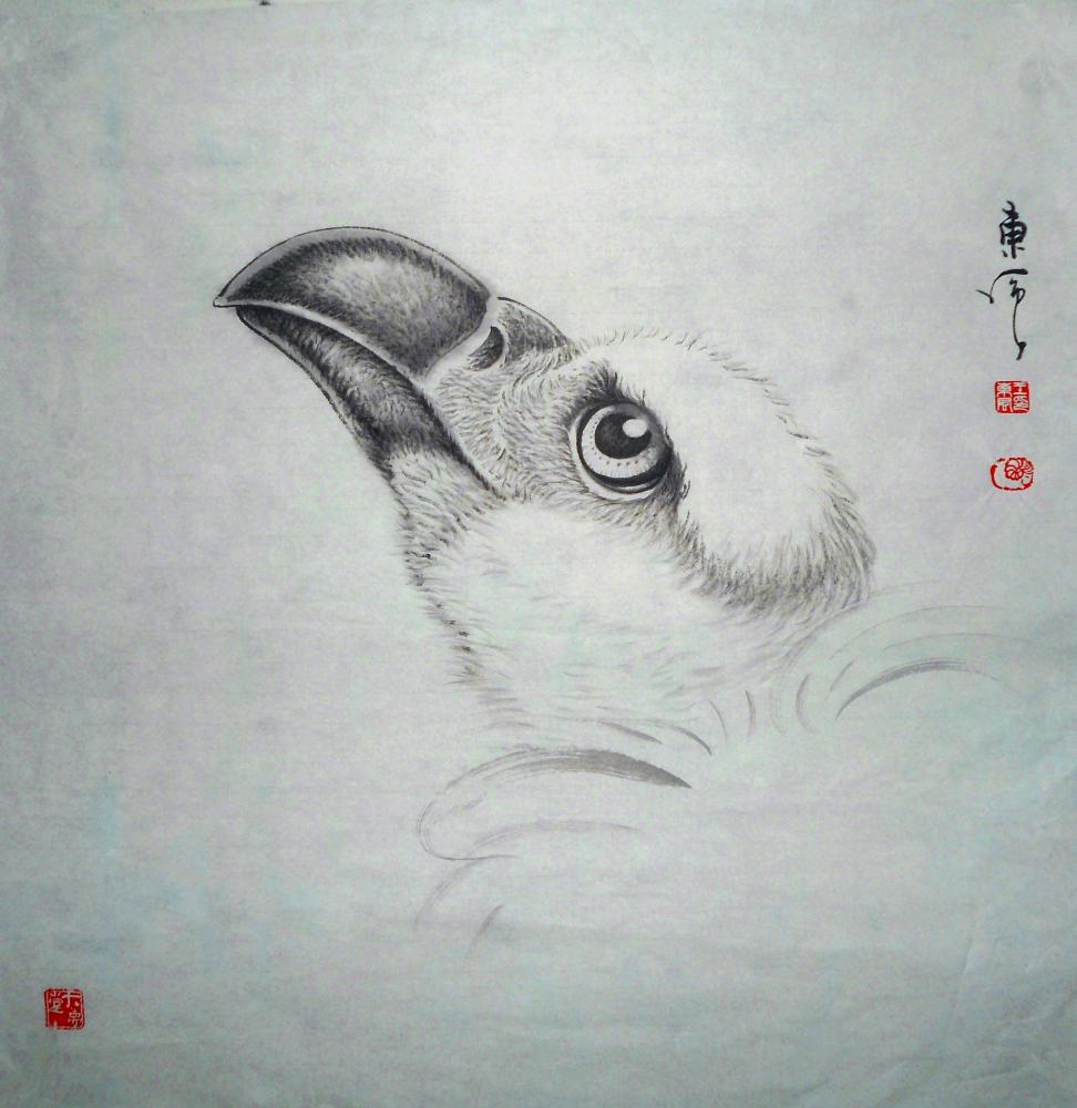 《鹰》系列