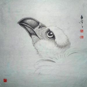 《鹰》系列