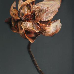 《芳魂何处》