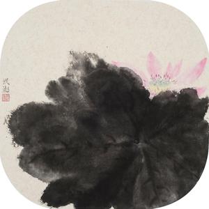 《出水芙蓉》