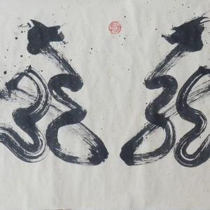 二龙戏珠