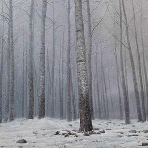 2013年 雪静静地落