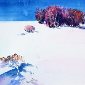 雪原