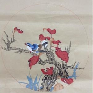 相思鸟