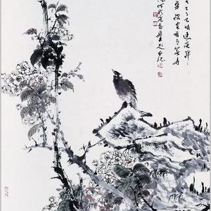天质清华