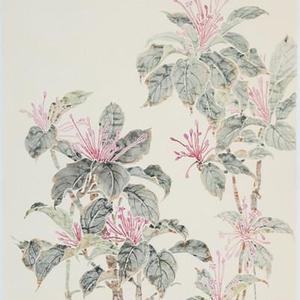 《紫叶风露》