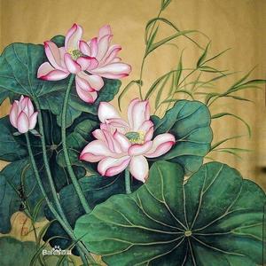 清风荷韵