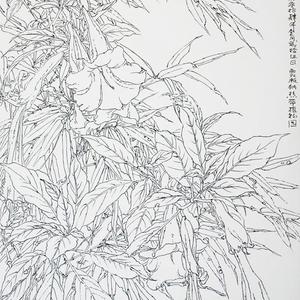 李汉平-写生花卉-17