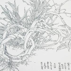 李汉平-写生花卉-19