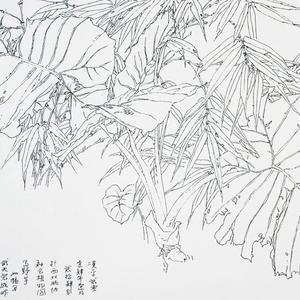 李汉平-写生花卉-21