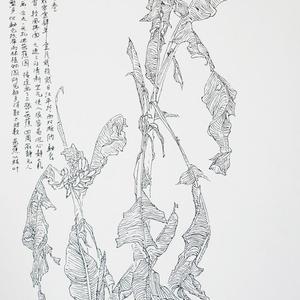 李汉平-写生花卉-122