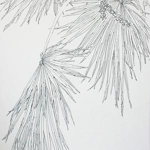 李汉平-写生花卉-130