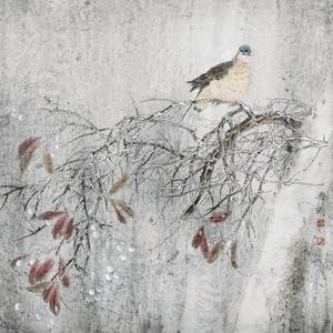 秋叶归红