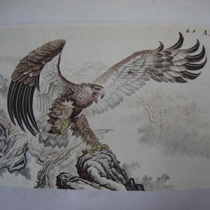 柏鹰图