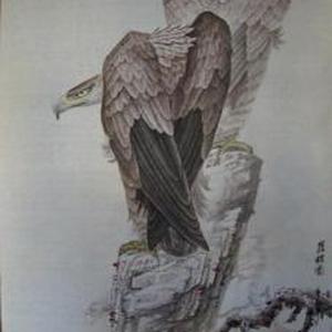 双鹰图