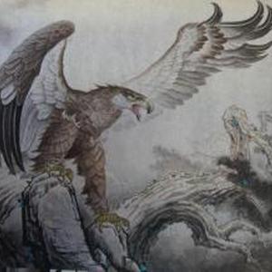 《鹰》系列