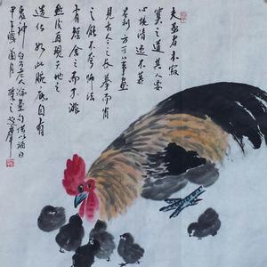 公鸡小鸡图