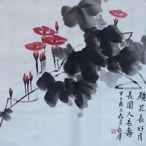 牵牛花图