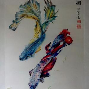 鱼乐图