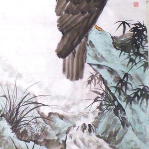 苍鹰图
