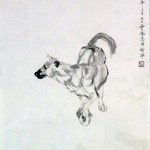 狗