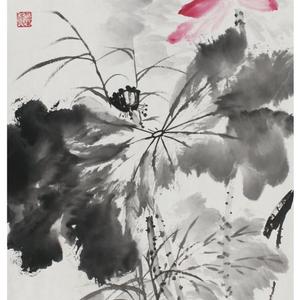 国画荷花