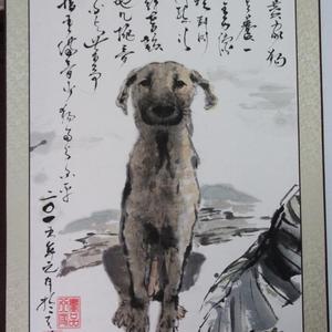 《傲养家狗》