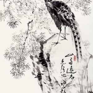 山高远志