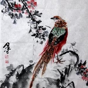 锦鸡