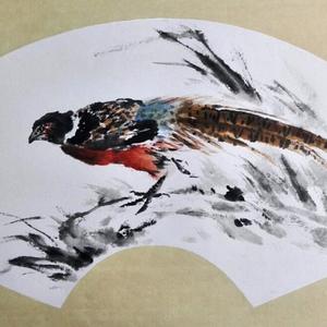 锦鸡