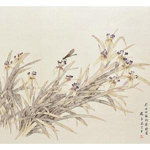鸢尾花