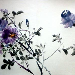 紫色月季
