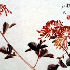 秋菊有佳色