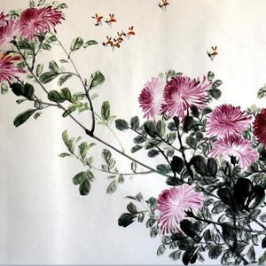 菊花2