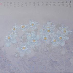 雪割草