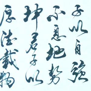段宁书法作品行草书天行健