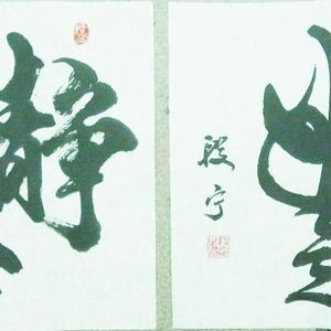 段宁毛笔书法行书斗方