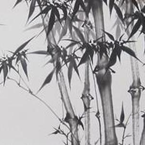 日暧千竿