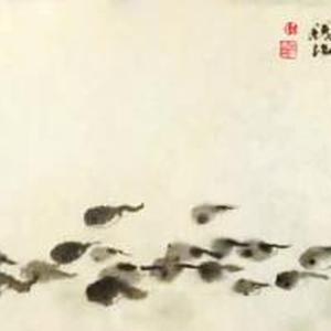 找妈妈