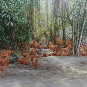 午后阳光