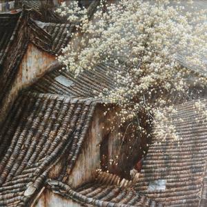 玉兰花开满庭