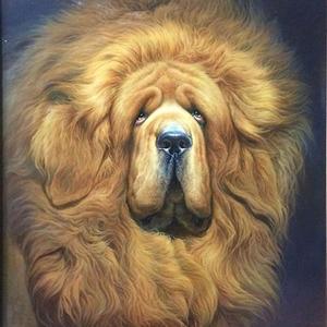 《狮王》